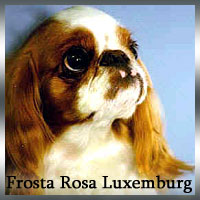 Frosta-Rosa-Luxemburg
