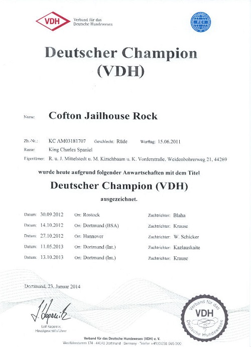 01_Champion Urkunde b